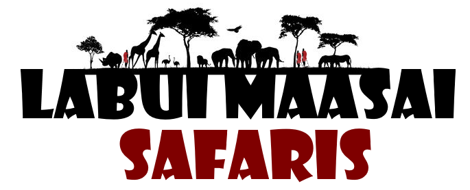 labui maasai safari logo